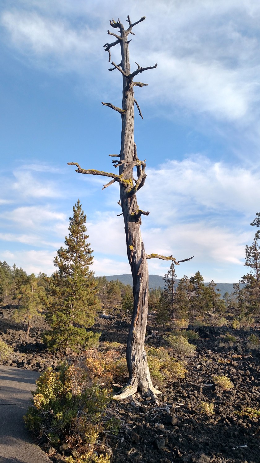 IMG_20170804_191145600_HDR