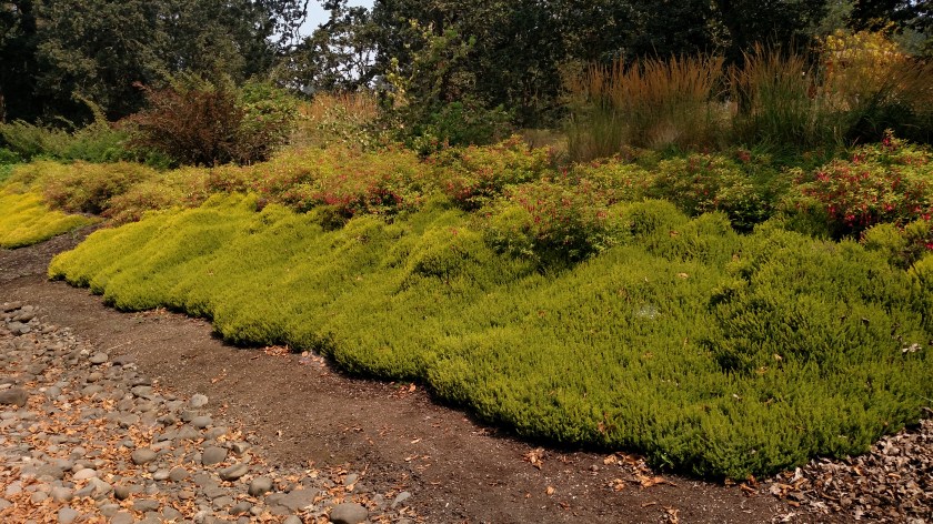 IMG_20170807_131717850