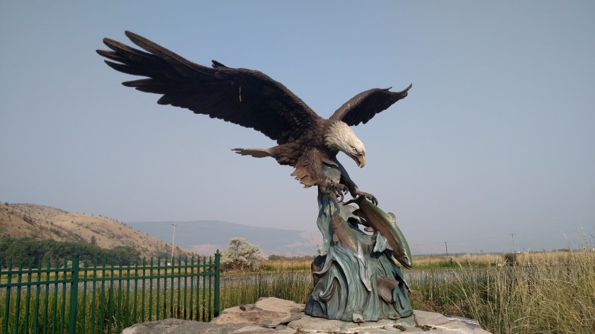 IMG_20170809_082057852