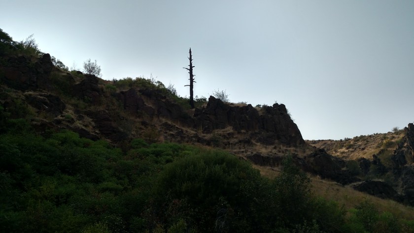 IMG_20170809_171011991_HDR