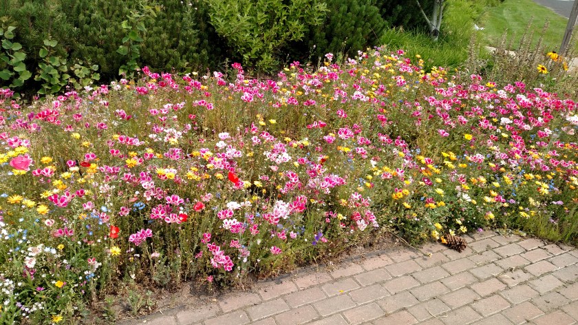 IMG_20170810_141753180