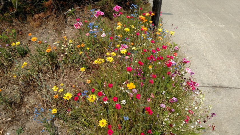 IMG_20170810_141804992