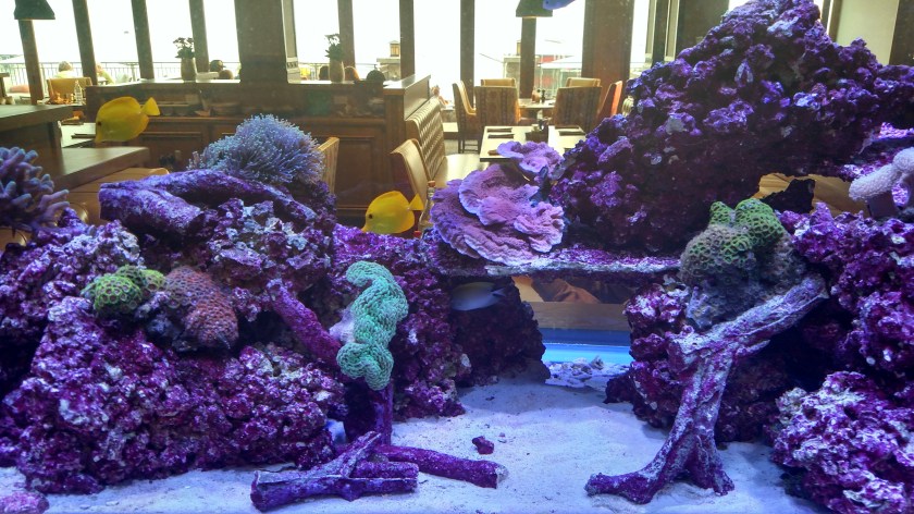 IMG_20170811_083903022_HDR