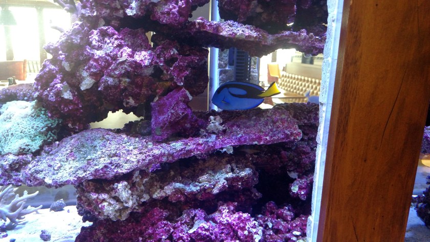 IMG_20170811_083928965