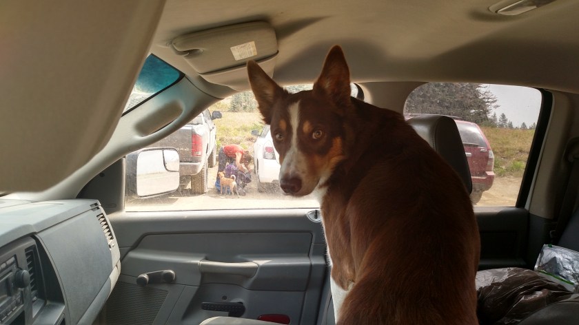 IMG_20170811_112316339_HDR