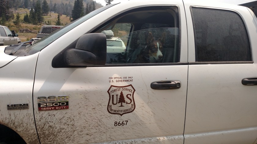 IMG_20170811_112404333