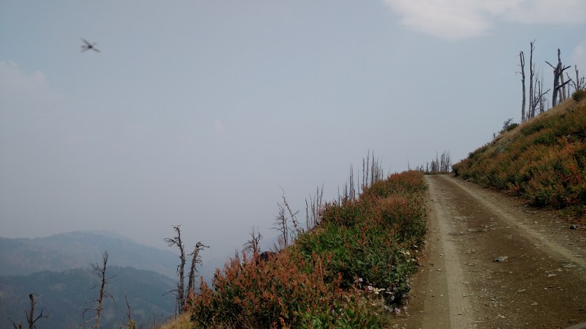 IMG_20170811_113054764