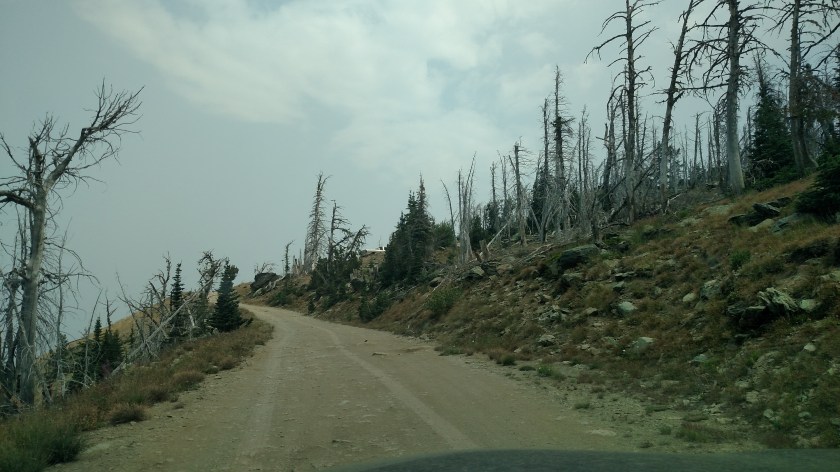 IMG_20170811_113626089