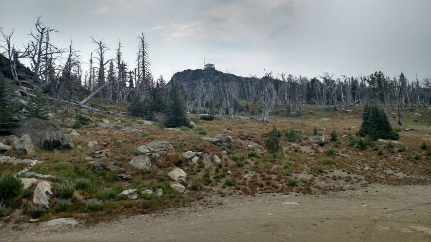 IMG_20170811_113901230_HDR