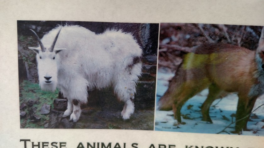 IMG_20170811_120623625