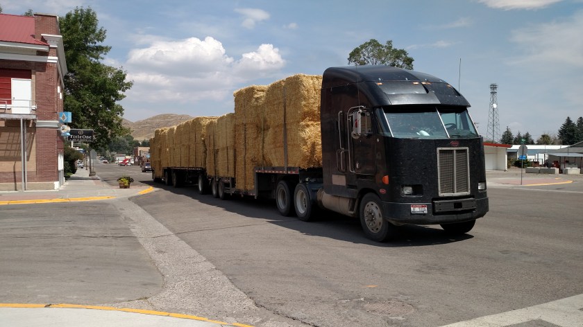 IMG_20170812_143842649