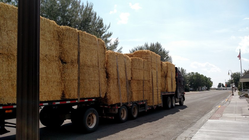 IMG_20170812_143845239