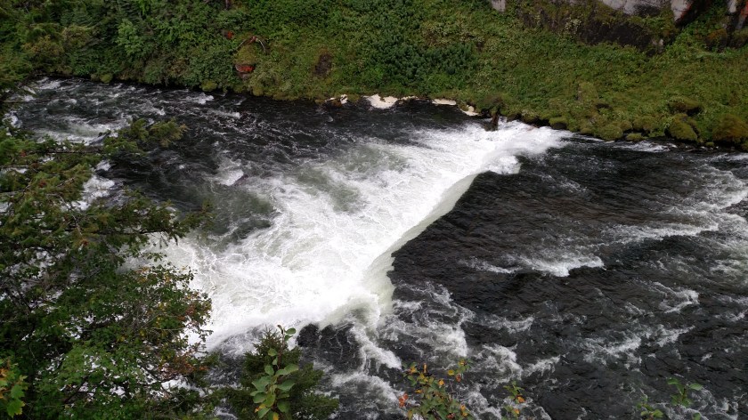 IMG_20170813_092609620