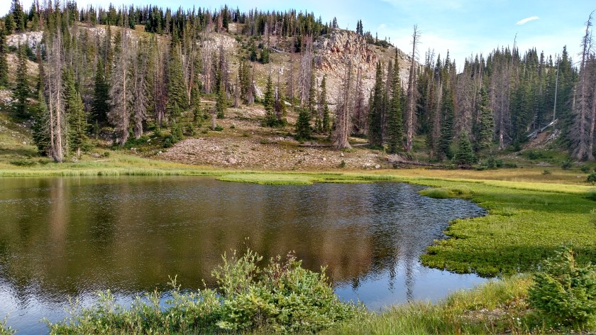 IMG_20170814_082702244_HDR