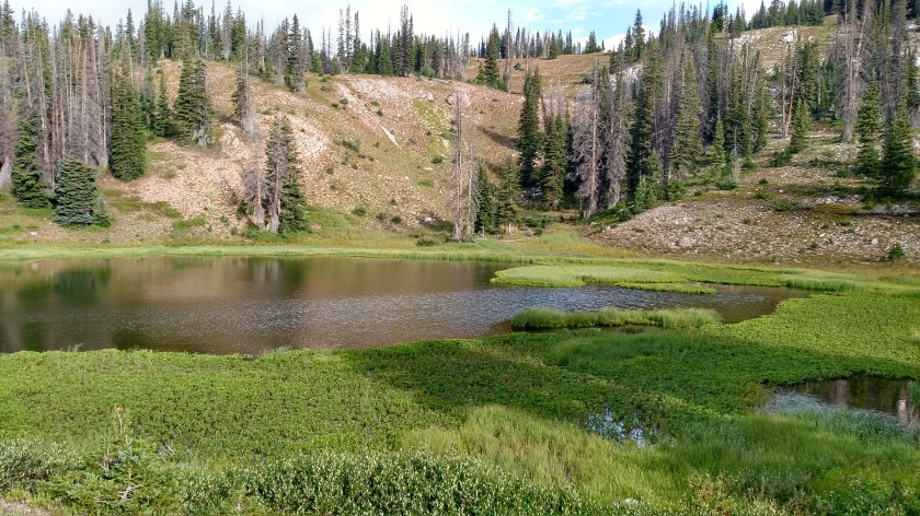 IMG_20170814_082745443_HDR