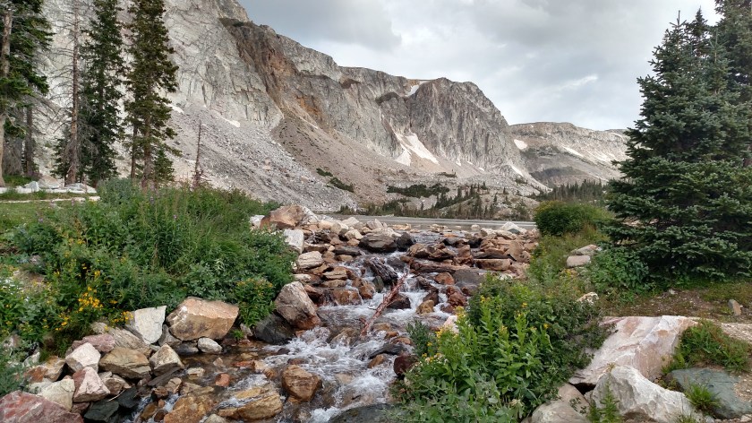 IMG_20170814_085306499_HDR