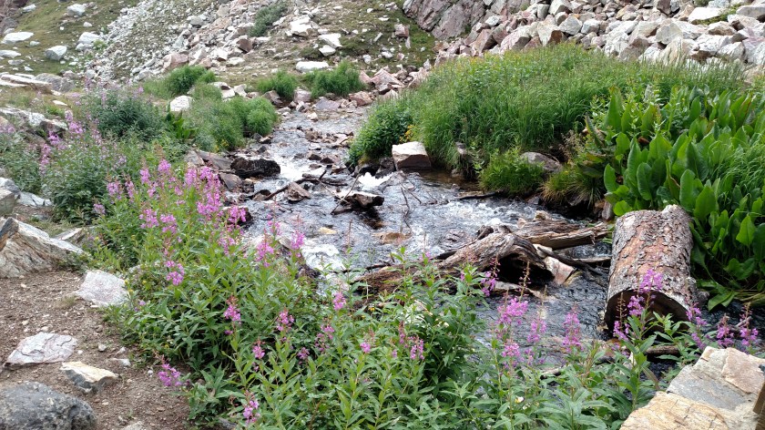 IMG_20170814_090220456