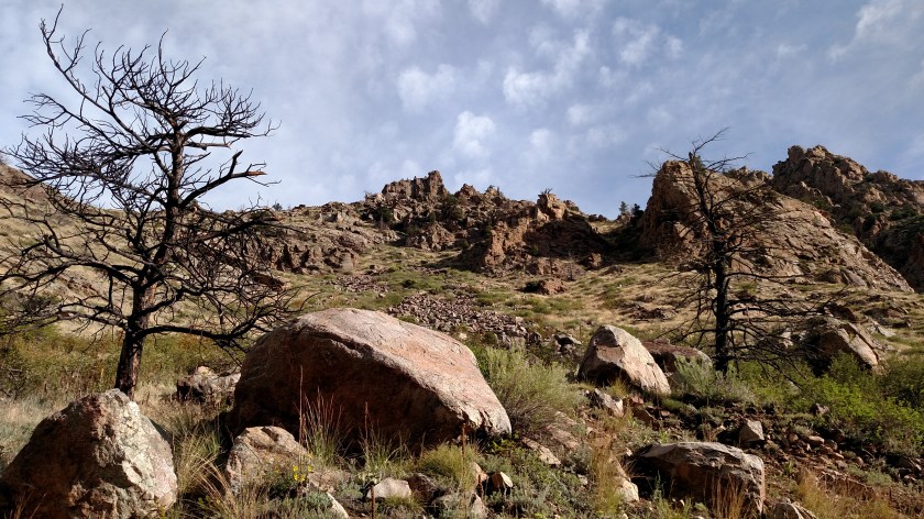 IMG_20170815_080703260