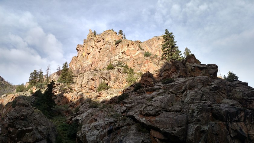 IMG_20170815_081221976_HDR