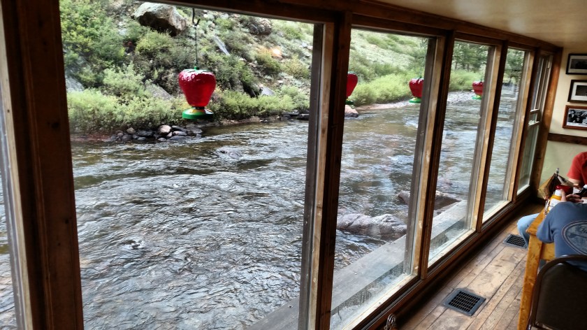 IMG_20170815_173101204