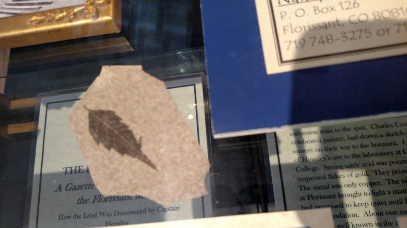 IMG_20170821_105739039