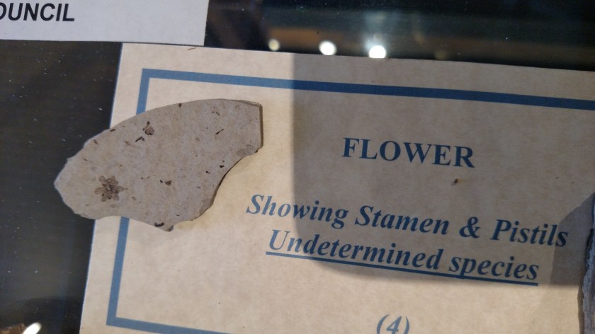 IMG_20170821_105753373