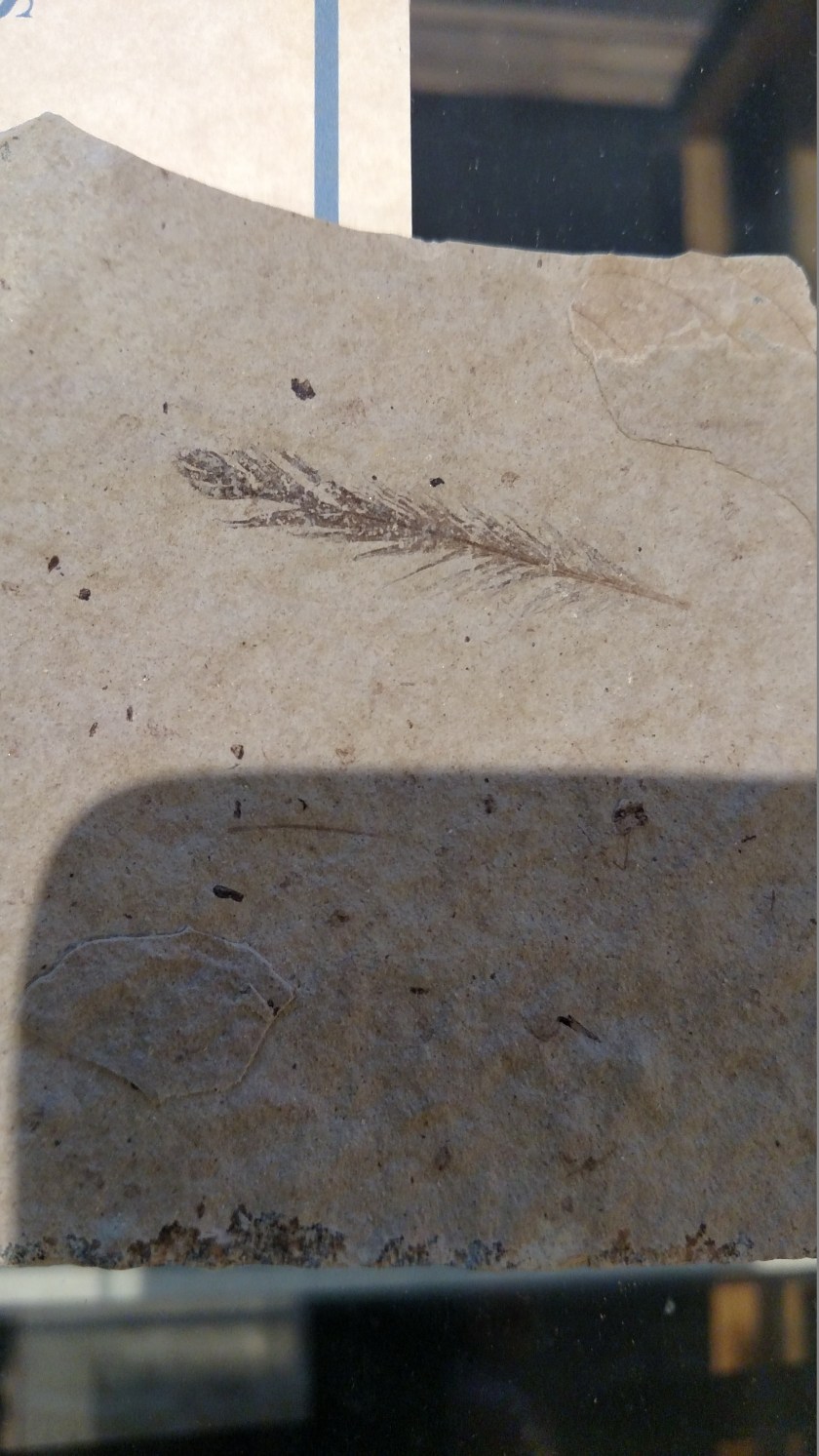 IMG_20170821_105813866