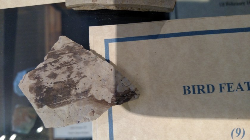 IMG_20170821_105820527