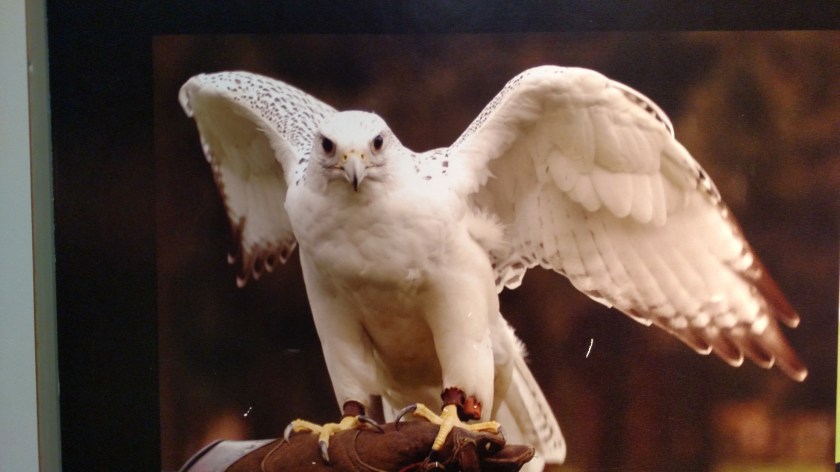 IMG_20170823_145000667