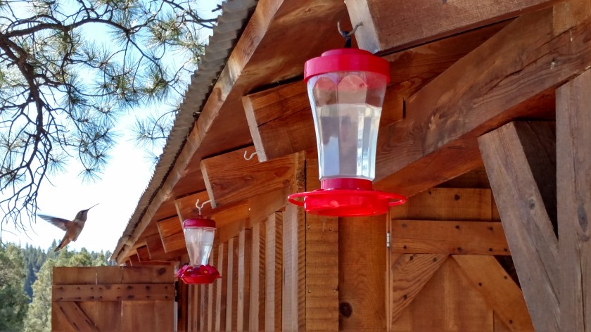 IMG_20170825_103836369_HDR