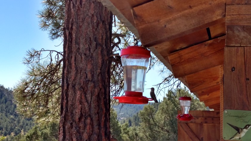 IMG_20170825_103909086_HDR