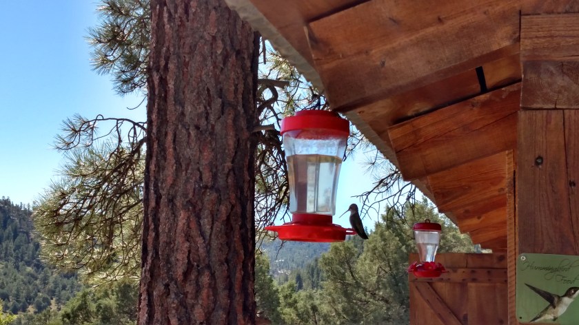 IMG_20170825_103910724_HDR