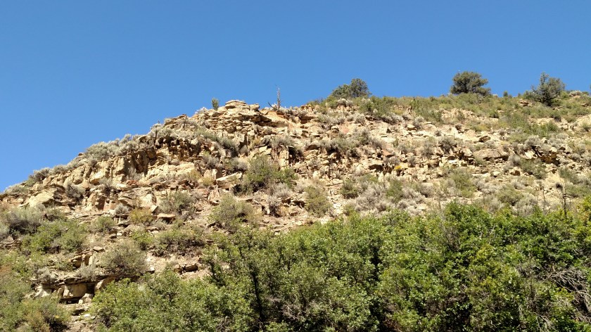 IMG_20170825_112436453