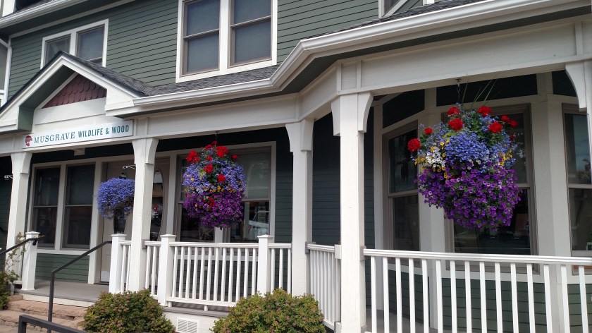 IMG_20170825_151009451