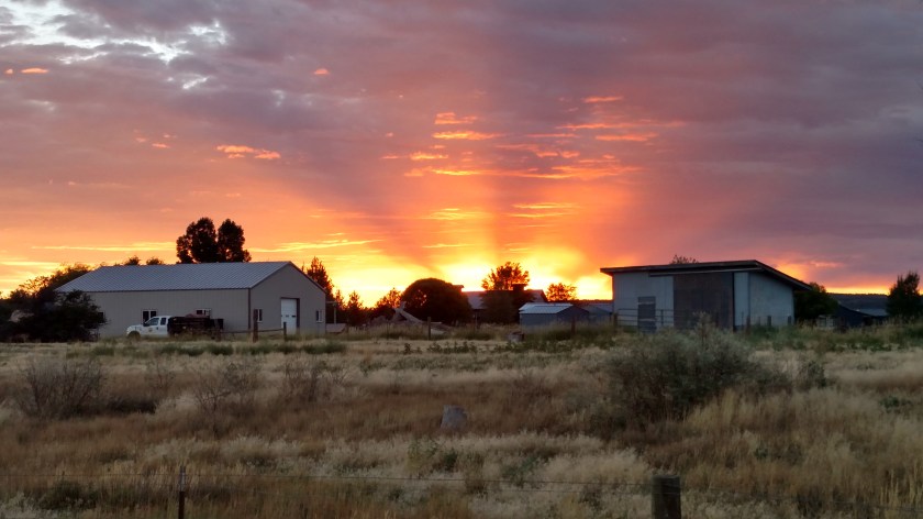 IMG_20170826_063853470_HDR