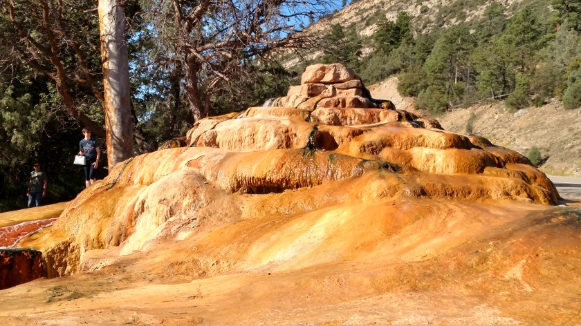 IMG_20170826_090630248_HDR