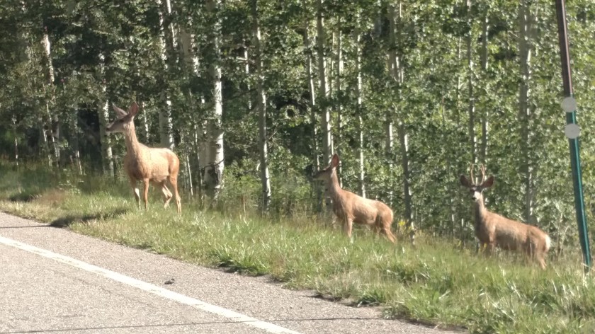 IMG_20170826_094609607