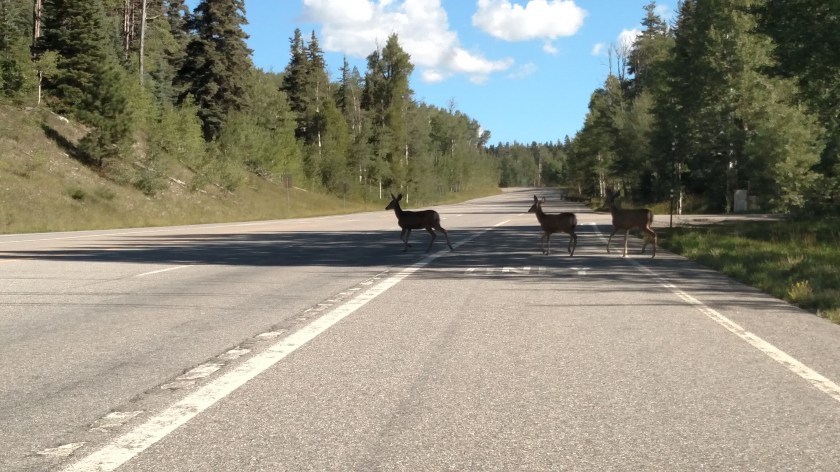 IMG_20170826_094635958