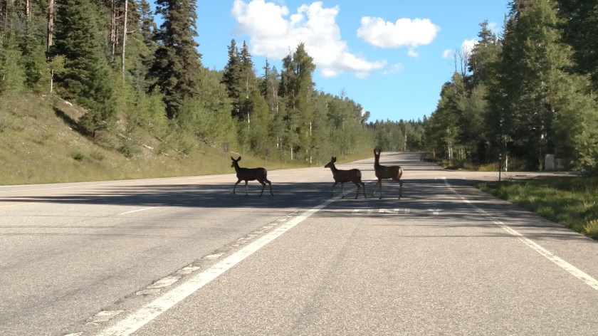 IMG_20170826_094637979