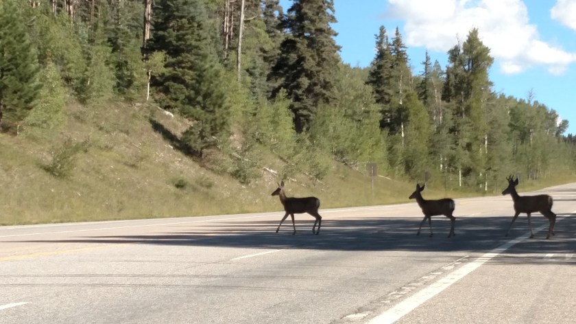 IMG_20170826_094640284