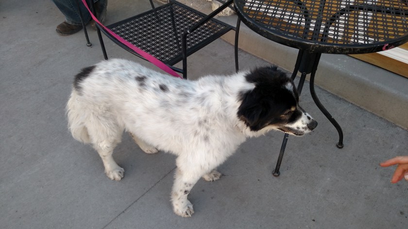 IMG_20170827_165948945