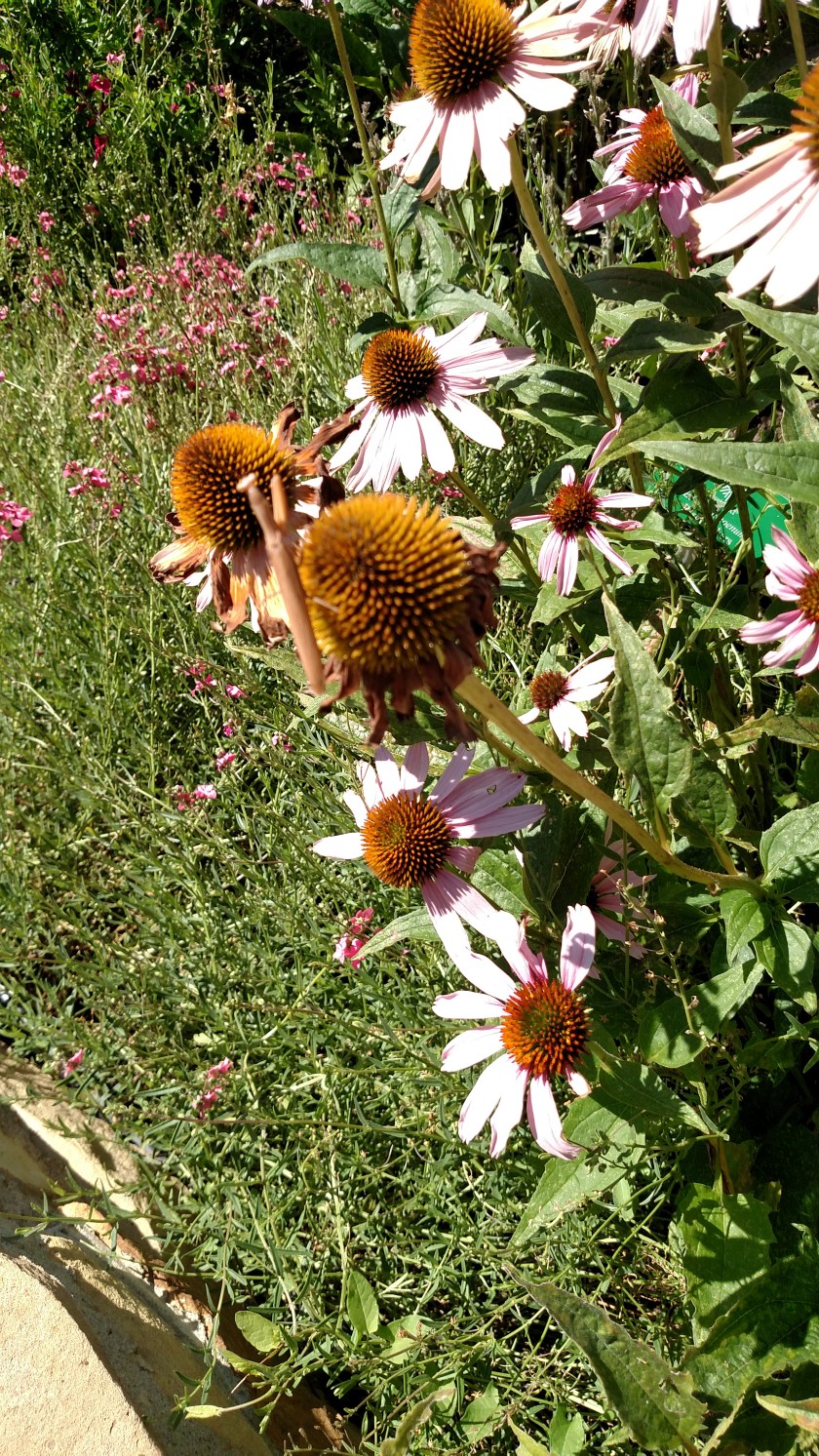 IMG_20170828_115912780