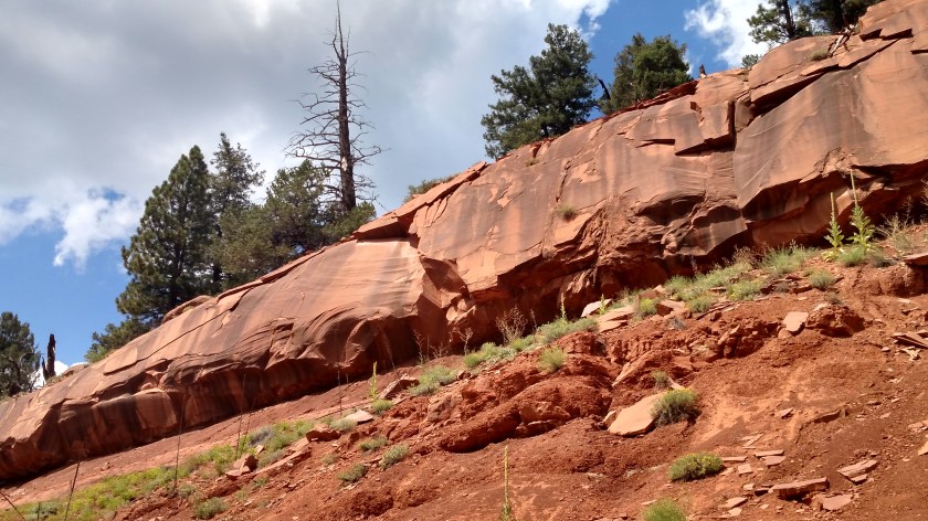 IMG_20170828_134957682_HDR