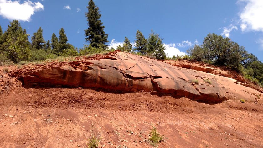 IMG_20170828_135216618