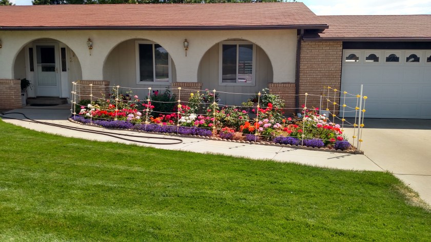 IMG_20170829_113908297_HDR