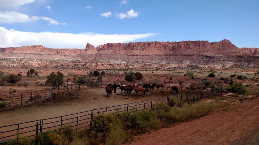 IMG_20170830_122418516