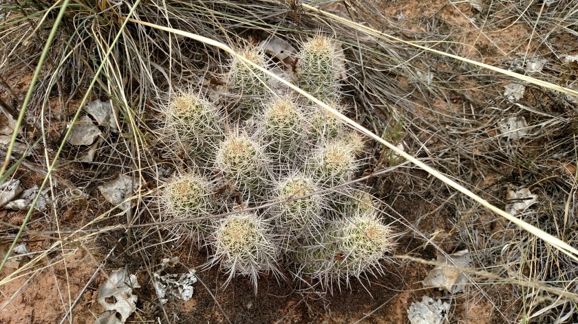 IMG_20170830_142728963