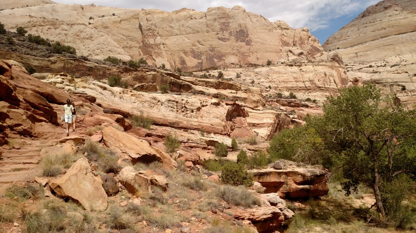 IMG_20170830_150653592