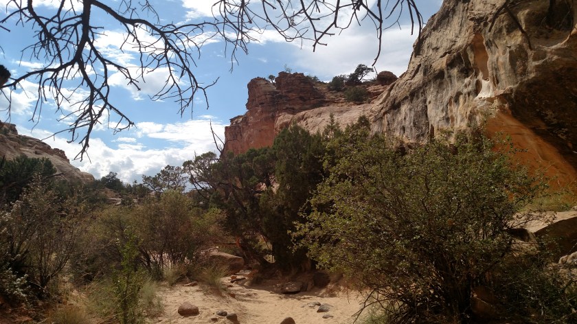 IMG_20170830_152452004