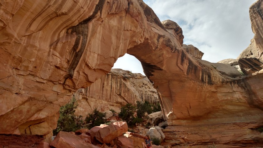 IMG_20170830_153952850_HDR